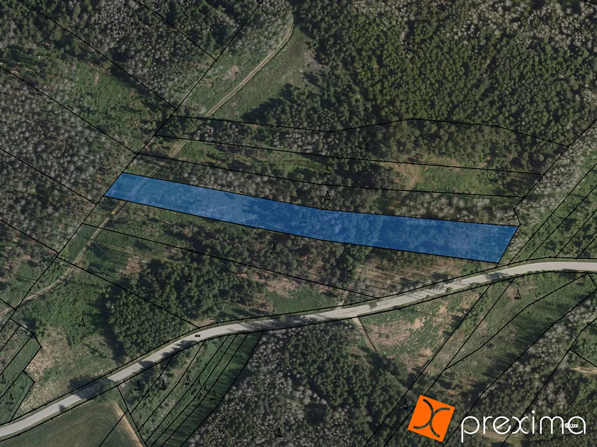 Prodej lesa 9117 m²
